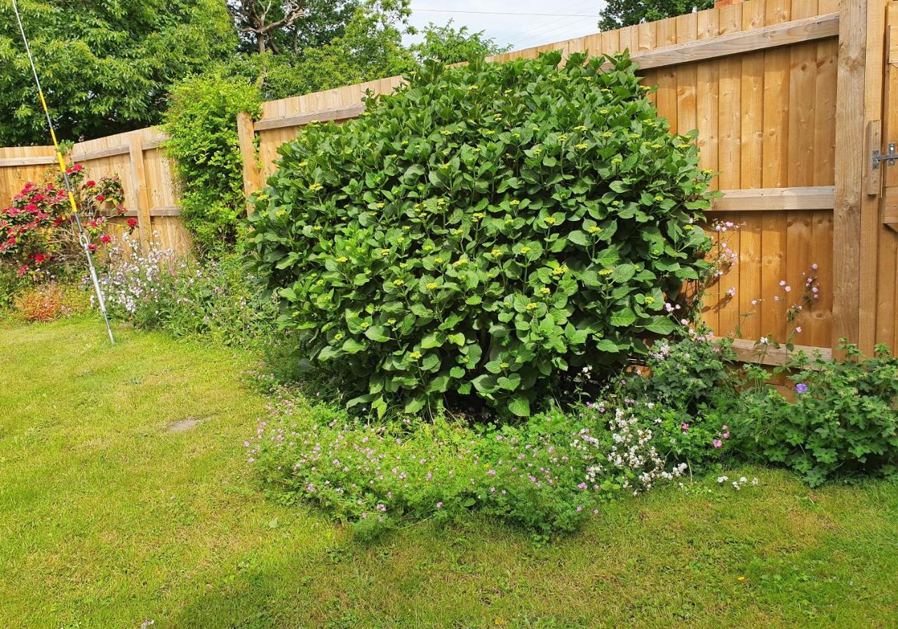 Forest Farm Papplewick Nottingham - Spacious Self-Contained Rural Retreat! Exteriör bild